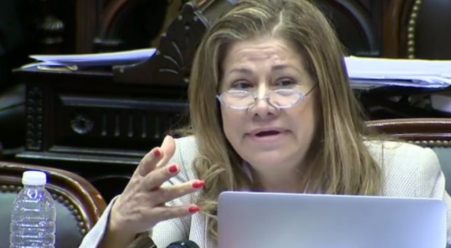 Para Camaño, desde el Gobierno “seguirán tirando ideas según la conveniencia electoral”