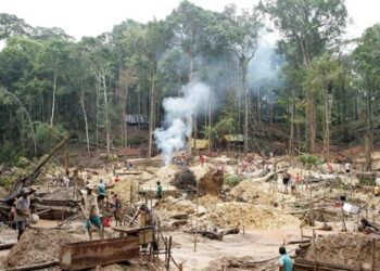Amazonia, cientos de barcos extraen oro ilegalmente