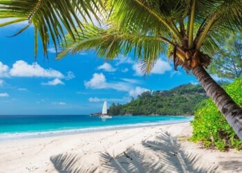 El rastafarismo: un símbolo cultural e identitario de Jamaica