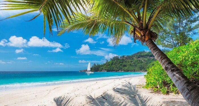 El rastafarismo: un símbolo cultural e identitario de Jamaica