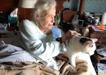 La mujer de 101 años que adoptó al gato más viejo del refugio y hacen un equipo perfecto