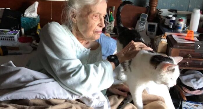 La mujer de 101 años que adoptó al gato más viejo del refugio y hacen un equipo perfecto