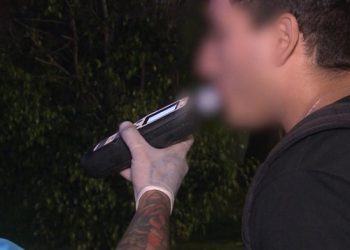 Operativo «antipicadas» en la General Paz