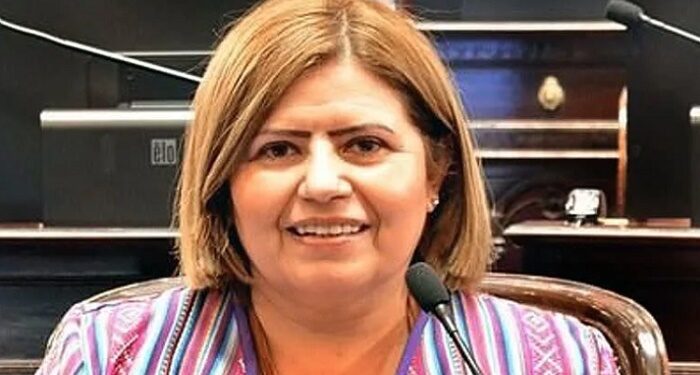 Quién es la senadora que le facilitó el quórum al oficialismo