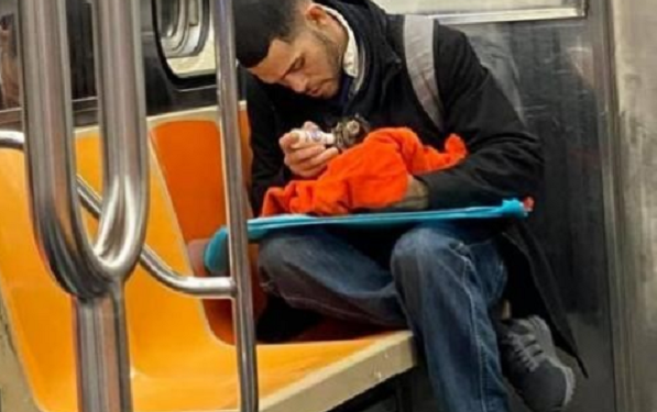 Un hombre ayuda a un gatito abandonado en un tren