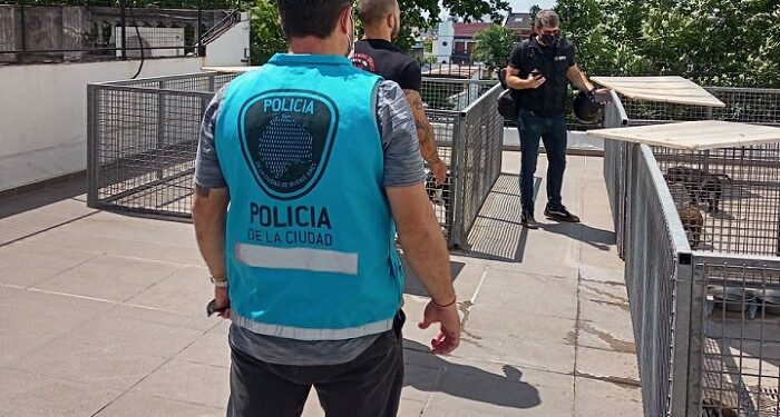 Rescatan tres perras, dos de ellas preñadas, de un criadero ilegal de Villa Devoto