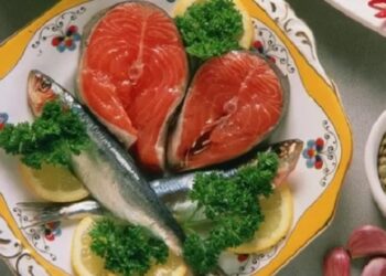 Semana Santa: Todo lo que uno debe saber sobre pescados para no quedarse con la espina