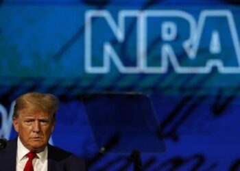 No es la salud mental, es pasión por las armas