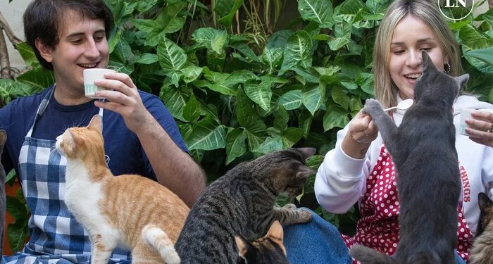 Abrió el primer Gato – Café porteño