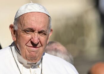 Repudio de Francisco a las «fake news»