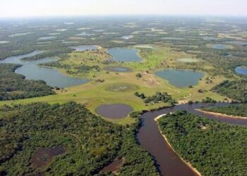 El Pantanal ideal para el ecoturismo