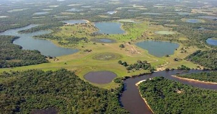 El Pantanal ideal para el ecoturismo