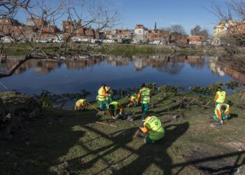 En la de la Cuenca Matanza Riachuelo se sumarán 10.000 ejemplares de árboles nativos durante el año