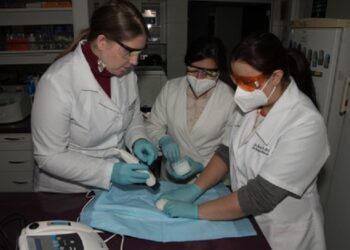 Una crema en base a té verde podría tratar y sanar el cáncer de piel