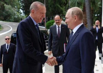 Putin agradece a Erdogan por acuerdo de granos