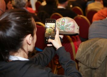 Según especialistas, «Argentina tiene capacidad de avanzar con el cáñamo industrial»