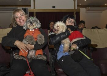 Realizaron en Escobar la primera función de cine para perros de Sudamérica