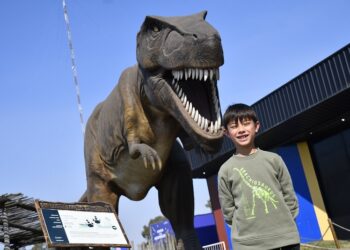 Miles de familias podrán festejar el día de las infancias en Tecnópolis