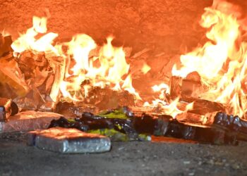 Cuarta quema de droga en el año: 300 panes de cocaína y marihuana fueron destruidos
