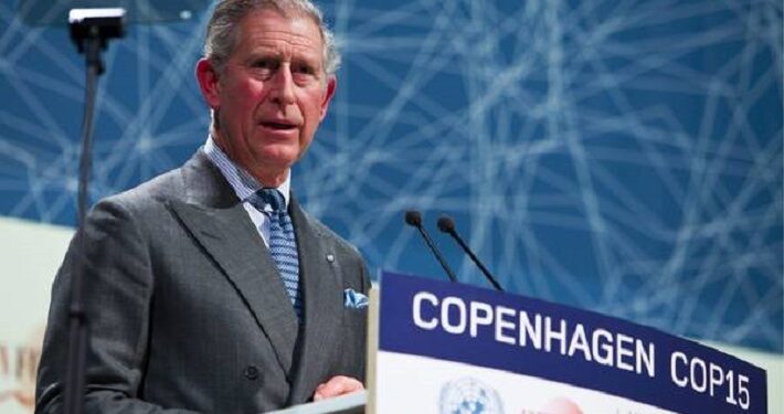 El rey no va a la COP27