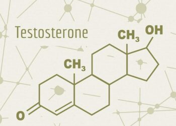 La importancia de aumentar la testosterona en hombres