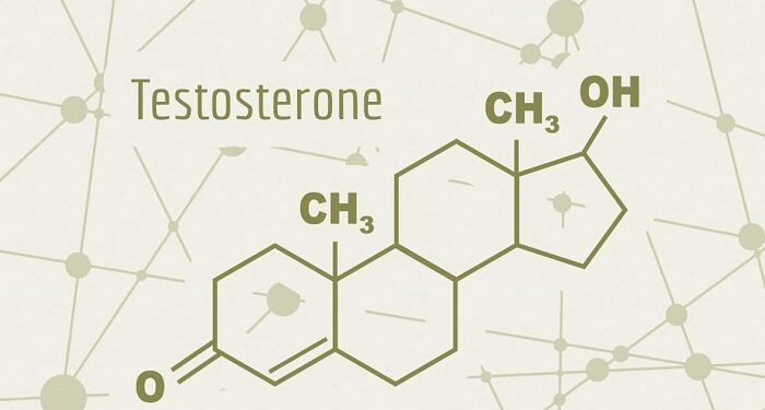 La importancia de aumentar la testosterona en hombres