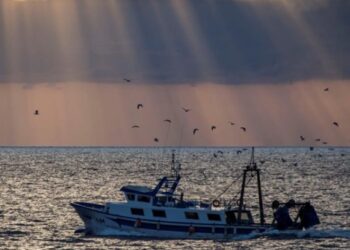 Diversas ONG exigen una «buena» gestión pesquera y acabar con la sobrepesca