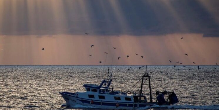 Diversas ONG exigen una «buena» gestión pesquera y acabar con la sobrepesca