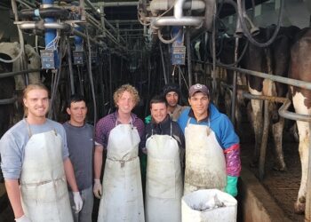 Cómo vivir las fiestas en las Sierras de Tandil