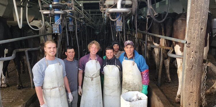 Cómo vivir las fiestas en las Sierras de Tandil