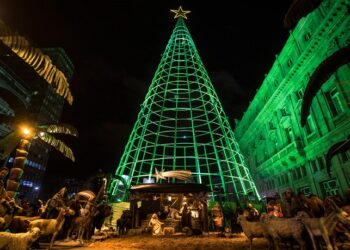 Comienzan las celebraciones de fin de año con el tradicional armado de árboles de Navidad