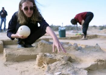 Huevos de avestruz de hace más de 4.000 años en el desierto de Israel