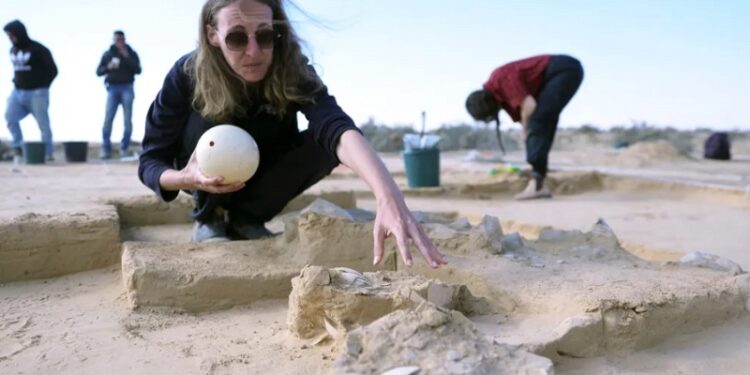 Huevos de avestruz de hace más de 4.000 años en el desierto de Israel