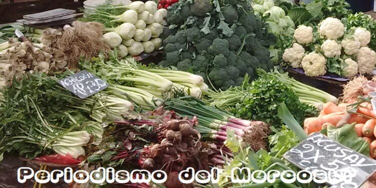 Una aplicación y un programa del Mercado Central combaten el desperdicio de alimentos en el país