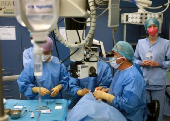 Una donación de órganos récord en Italia