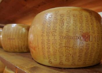 Grana Padano, el queso más consumido en el mundo