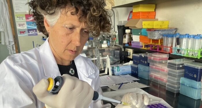 Científicos argentinos avanzan en la formulación de vacunas de nueva generación