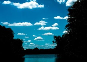 El ecoturismo revitaliza los humedales del nordeste argentino y uruguayo