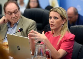 Con el análisis de Funcionarios, comenzó en Diputados el debate sobre el proyecto de Monotributo Tecnológico