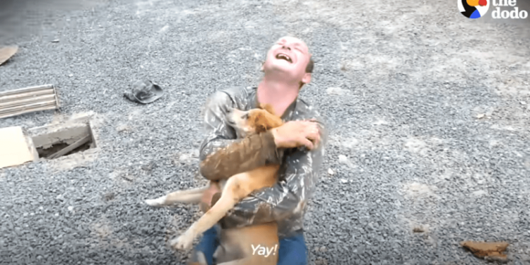 Hombre excava sin descansar un momento para salvar a su perrito que estaba dentro de una tubería