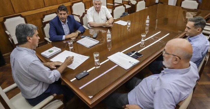 Articulan medidas para regular la producción de cannabis medicinal y cáñamo industrial en el Chaco