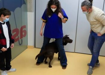 La terapia con perros no cura pero modera el dolor en el cáncer infantil en un 30 %