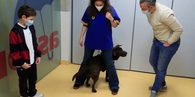 La terapia con perros no cura pero modera el dolor en el cáncer infantil en un 30 %