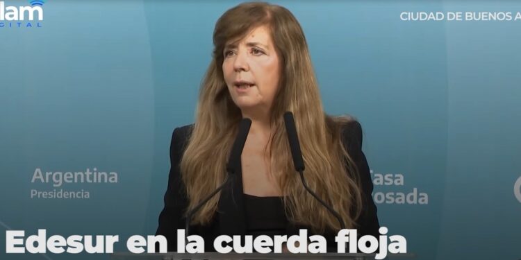 Gabriela Cerruti sobre Edesur: «El Estado evaluará la quita de la concesión»