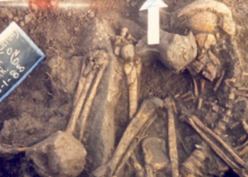 Pescado en dieta mediterránea hace 9.500 años