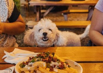 Este fin de semana permanecerá abierto el Patio Smart Plaza Parque Patricios