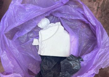 Desbarataron banda narco que intentó enviar cocaína a España en una chopera