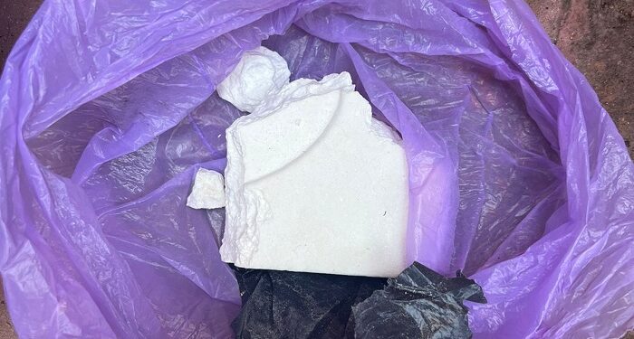 Desbarataron banda narco que intentó enviar cocaína a España en una chopera