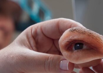 Continúa el ciclo de cine por los Derechos Humanos