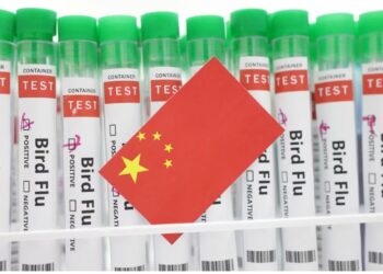 China registra la primera muerte humana en el mundo por gripe aviar H3N8, dice la OMS